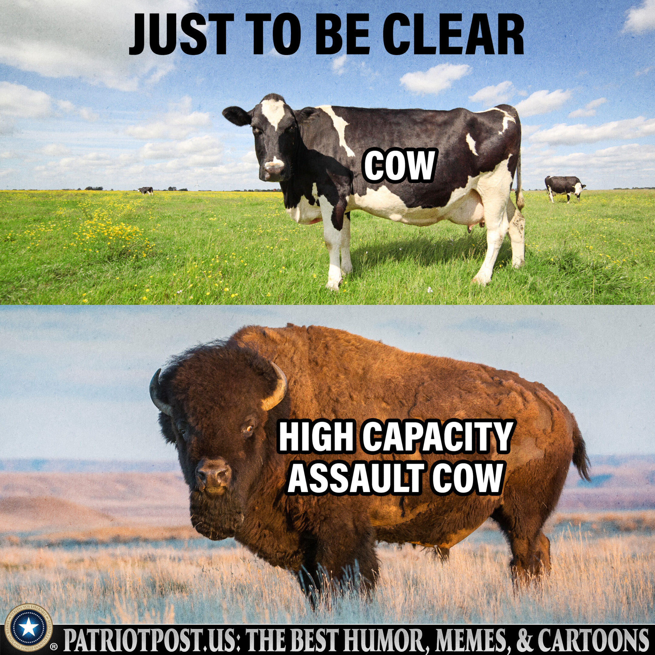 Republished from the Patriot Post